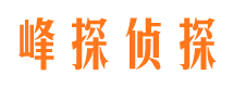 滨湖市私家侦探